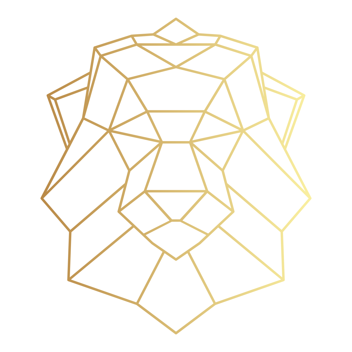 Foundation First lion